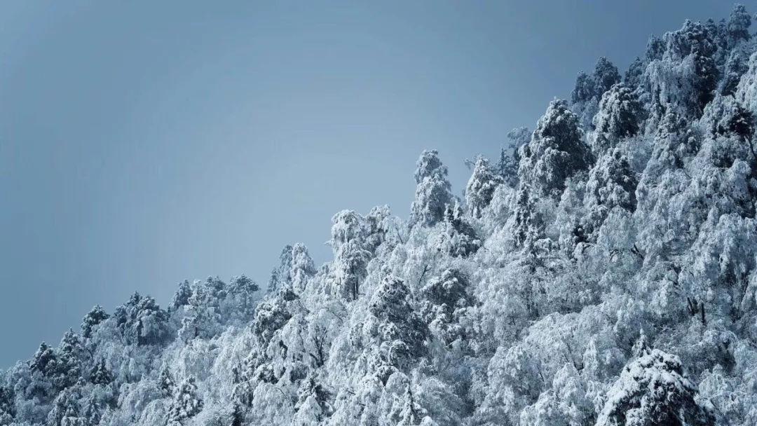 《幻兽帕鲁》近战武器获取方法