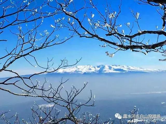 救援音乐系学生