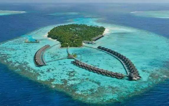 2022从南阳姜营机场出发需要核酸检测报告吗？游戏画面