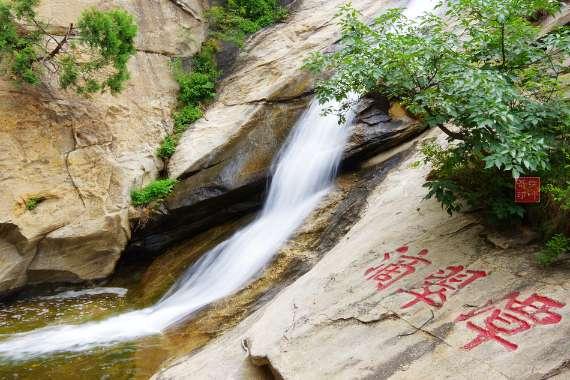 失忆的流浪者