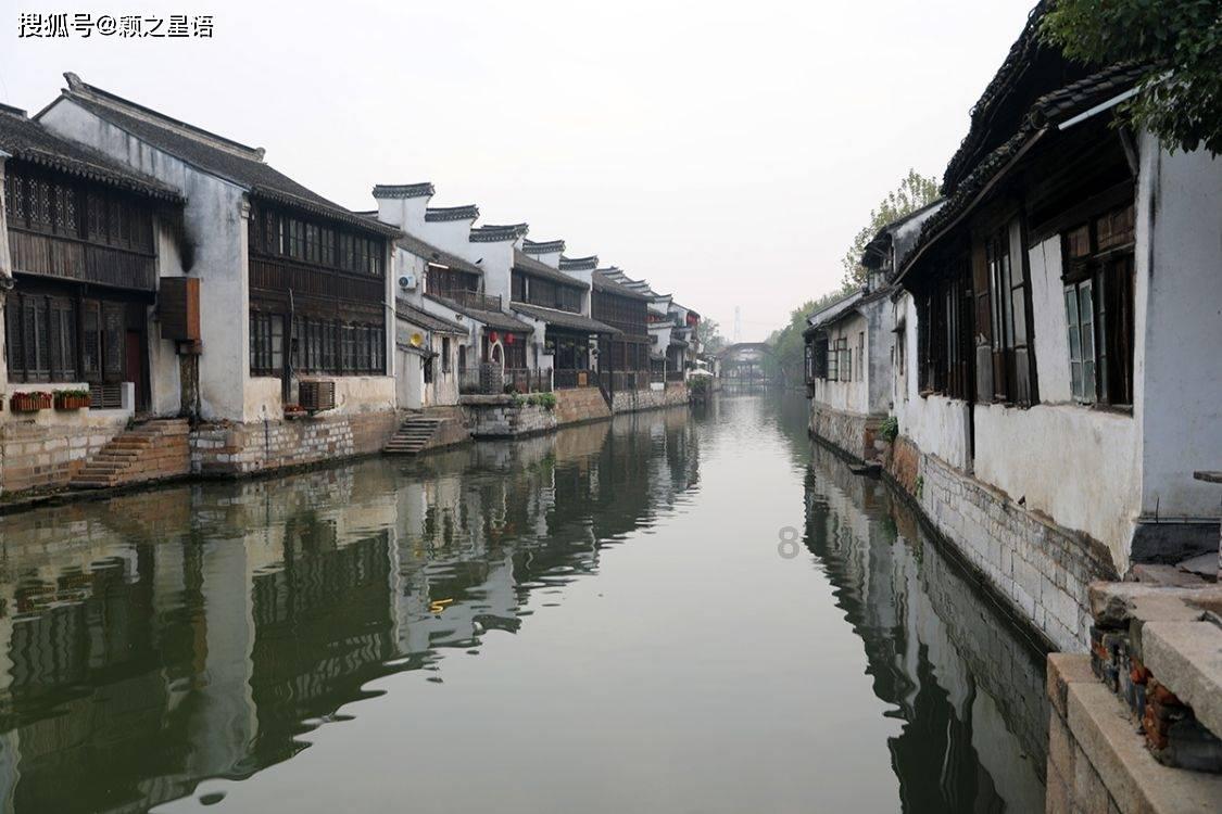 除虫大师