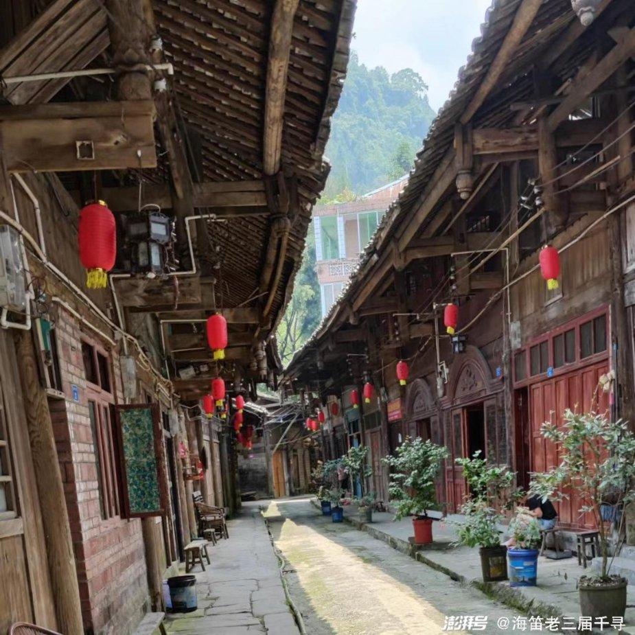 依依股份(001206.SZ):近期纸浆价格走势相对平稳